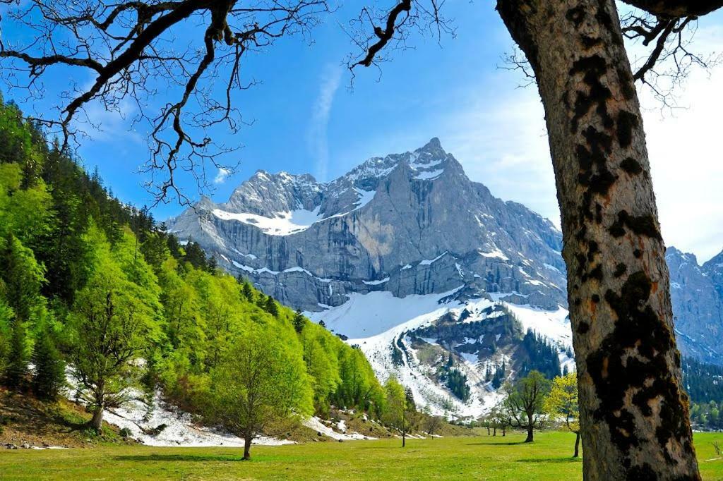 Alpenfreund Apartment Mittenwald Exterior foto