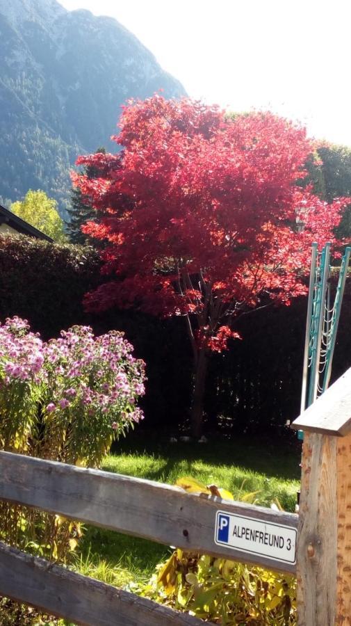 Alpenfreund Apartment Mittenwald Exterior foto